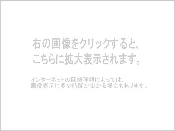 �_�b�g�T���@�u���[�o�[�h�@�P�R�O�O�r�r�i�o�S�P�P�^�j